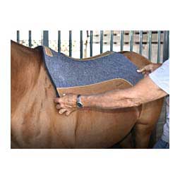 Orthopedic Correct Fit 1" Horse Saddle Pad with Poron XRD Item # 41934