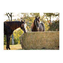 Texas Haynet for Round Bale Item # 42247