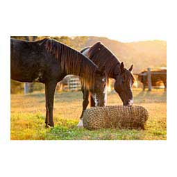 Texas Haynet Square Bale Net Item # 42569