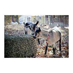 Texas Haynet Square Bale Net Item # 42569
