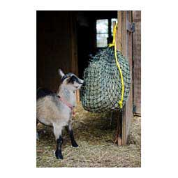 Texas Haynet Small Hay Net Item # 42570