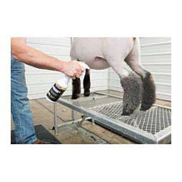 Aluminum Trimming Stand With Adjustable Head Piece Item # 43156