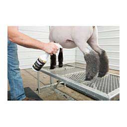 ProHair 100 Hair Growth for Livestock Item # 43300