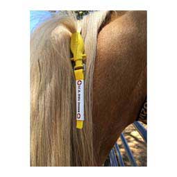 I.C.E. ManeStay Equine Emergency ID Item # 43470