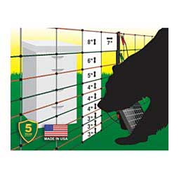 Bee Hive & Bear Net Item # 43584