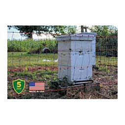 Bee Hive & Bear Net Item # 43584
