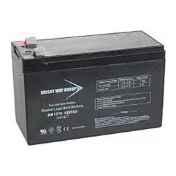 Replacement Battery for Solarguard 155  Datamars Livestock
