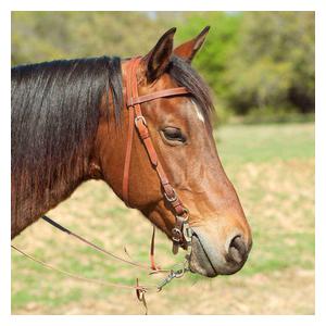 Stitched Horse Headstall Item # 43674