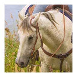 Stitched Harness Throat Latch Slip Ear Horse Headstall Item # 43676