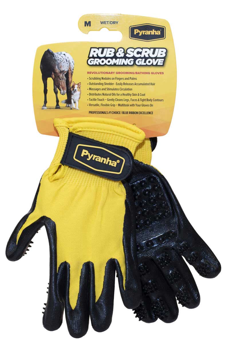 Best Friend Rub grooming glove