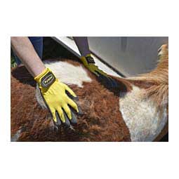 Rub & Scrub Grooming Gloves Item # 44065