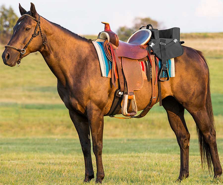 Ride With Me Horse Saddle Seat For Children Mustang Manufacturing 