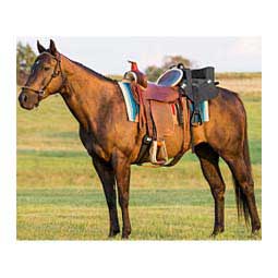 Ride With Me Horse Saddle Seat for Children Item # 44406