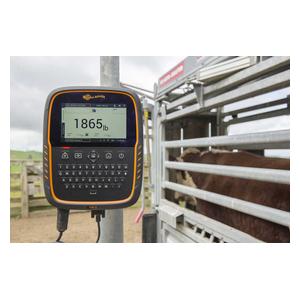 TW-3 Weigh Scale and Data Collector Item # 44545