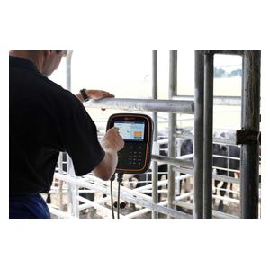 TW-1 Weigh Scale and Data Collector Item # 44557