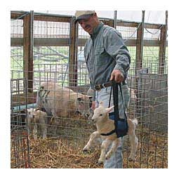 Lamb and Kid Sling Item # 44616