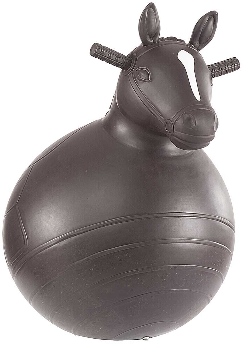 large bouncy horse