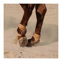 Pro Reiner Horse Skid Boots Item # 44678