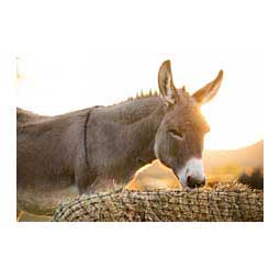 3-String Square Bale Net Item # 44737
