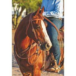 Correction Swept Back Double Bar Horse Bit Item # 44755