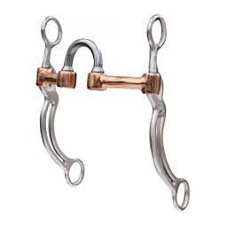 Correction Swept Back Double Bar Horse Bit