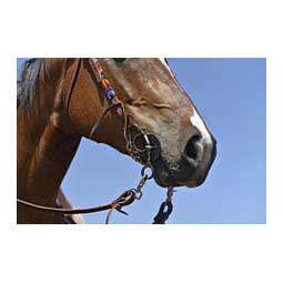 Sherry Cervi Diamond Short Shank Twisted Wire Dogbone Horse Bit Item # 44771