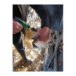 Express Pistol Grip Dehorner for Calves Item # 44901