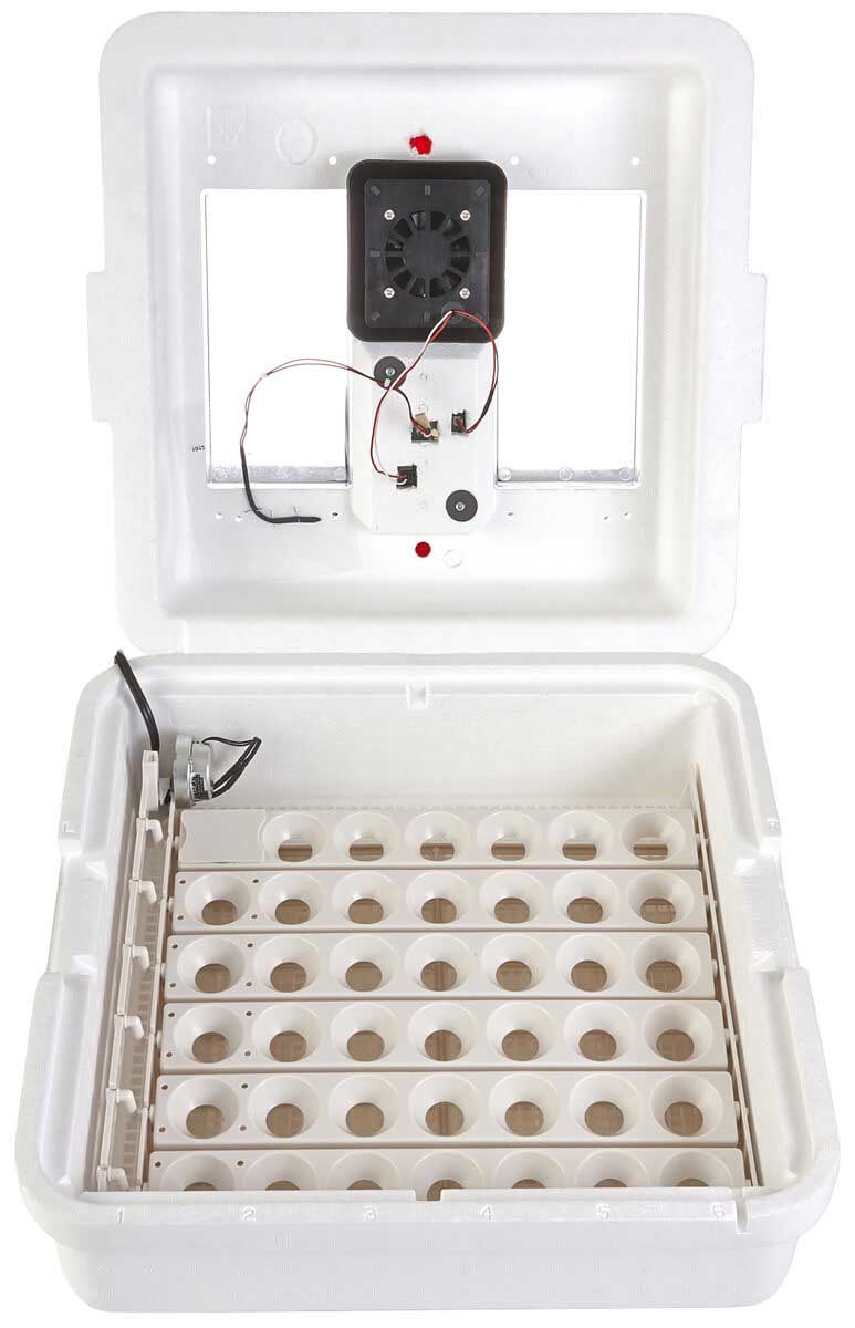 Deluxe Incubator with Egg Turner Little Giant - Incubation ...