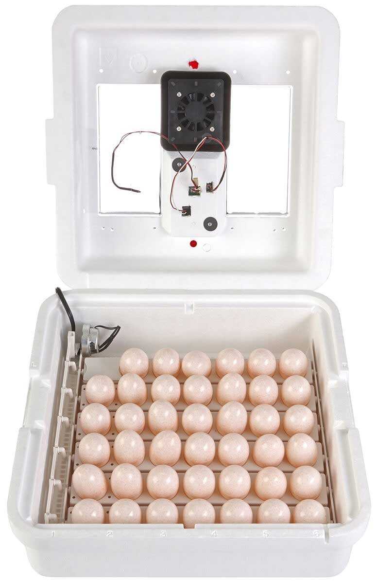Large egg incubator for sale