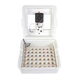 Deluxe Incubator with Egg Turner  Little Giant