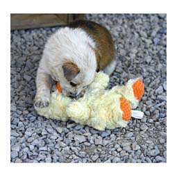Wrinkleez Dog Toy Item # 45038