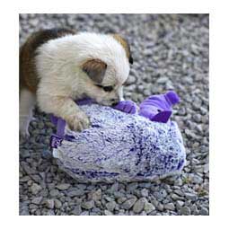 Hedgehog Dog Toy Item # 45040