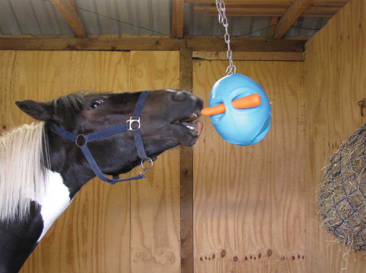 Shires Stable Hanging Carrot Boredom Busting Ball Toy Treat 
