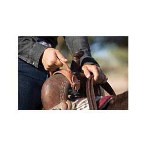Nightlatch Security Strap Item # 45487