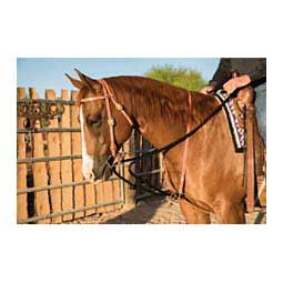 Al Dunning Draw Rope Martingale  Professional's Choice