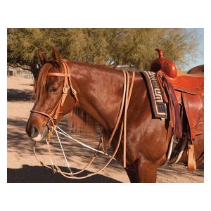 Al Dunning German Martingale with Split Reins Item # 45490
