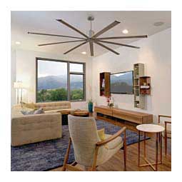 Industrial 72-in Ceiling Fan Item # 45721