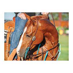 Antiqued Dots One Ear Headstall Item # 45777