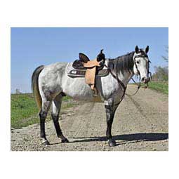 Kelly Kaminski Exclusive Frontier Barrel Horse Saddle Item # 46064