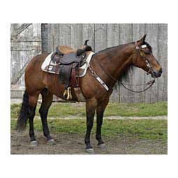 Julie Goodnight Exclusive Peak Performance Wind River Horse Saddle Item # 46065