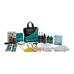 Curicyn Equine Triage 36 Piece Kit  Eastern Technologies