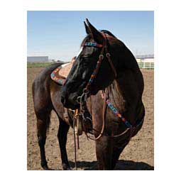 Colorful Harness Infinity Wrap Browband Item # 46439