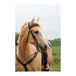 Sunflower Browband Item # 46456
