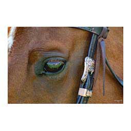 Sunflower Browband Item # 46456