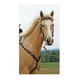 Sunflower Browband Item # 46456