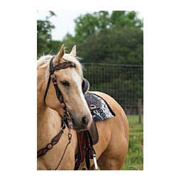 Sunflower Browband Item # 46456