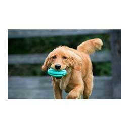 Rubber Oval Treat Ball Dog Toy Item # 46798
