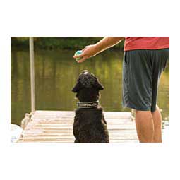 Tennis Balls Dog Toys Item # 46799