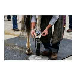 EasyShoe Versa Grip Gold Horseshoe - Hind Pair Item # 47097