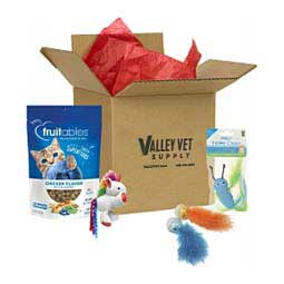 Feline Fun Gift Box  Valley Vet
